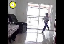 A alma de Ederson num gato